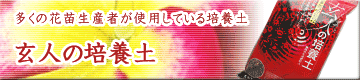 ���l�̔|�{�y