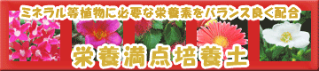 �h�{���_�|�{�y