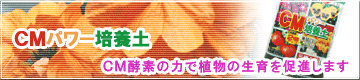 �b�l�p���[�|�{�y